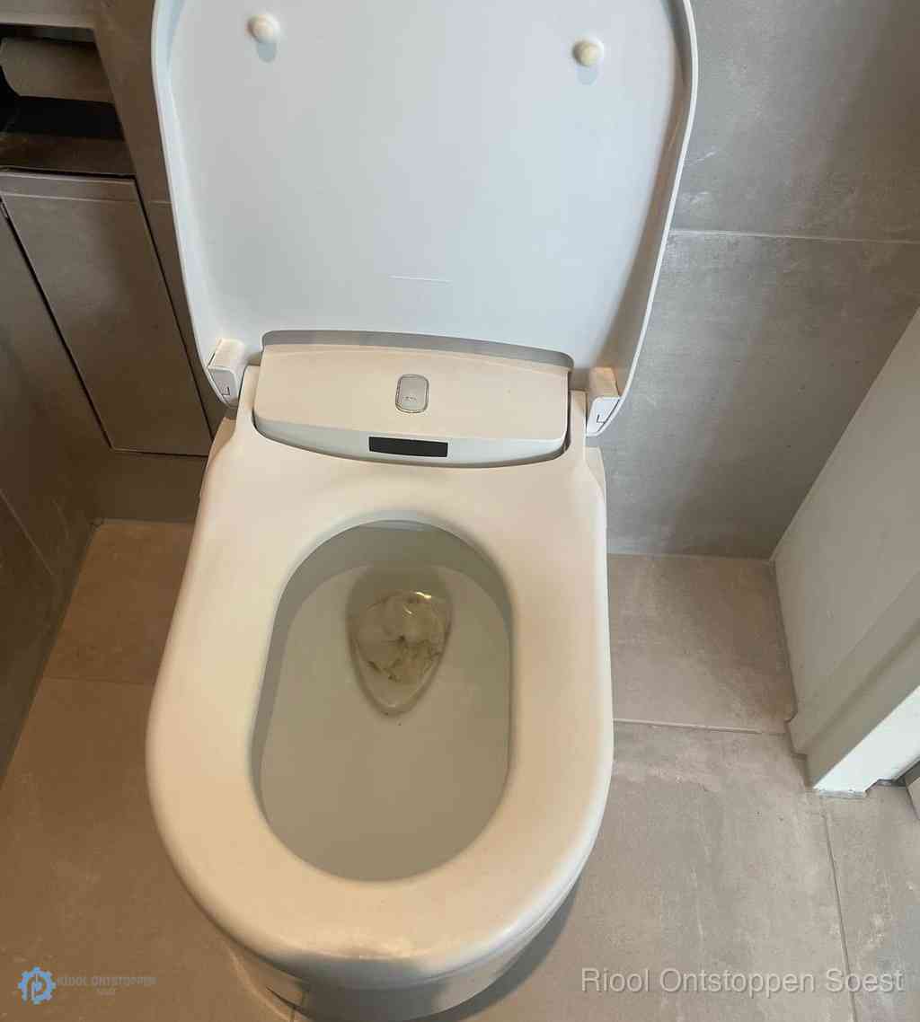 Toilet Ontstoppen Soest Toilet Ontstoppen Soest